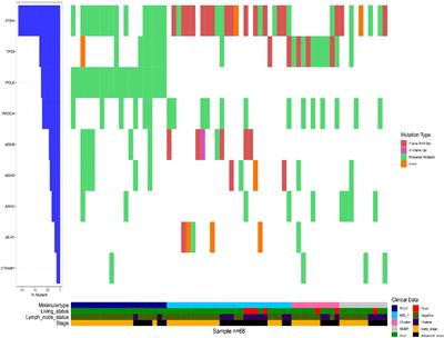 Molecular classification grade 3 endometrial endometrioid carcinoma using a next-generation sequencing–based gene panel